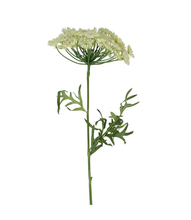 Fleur Artificielle d'Aneth | Couleur : Blanc Naturel | Longueur ± 59 centimètres | Par 6 fleurs artificielles