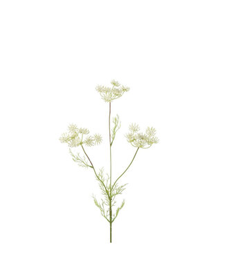 4A Fleur Artificielle Aneth | Couleur : Blanc Naturel | Longueur ± 84 centimètres | Par 6 fleurs artificielles