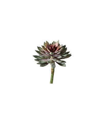 4A Succulent Artificial Plant | Colour: Green | Length ± 20 centimetres | Per artificial plant