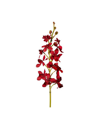4A Vanda Orchidee Kunstbloem | Kleur: Donkerrood | Lengte ± 70 centimeter | Per 4 kunstbloemen
