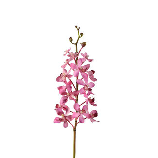 4A Vanda Orchid Artificial Flower | Colour: Light Pink | Length ± 70 centimetres | Per 4 artificial flowers