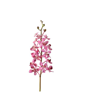 4A Vanda Orchidee Kunstblume | Farbe: Hellrosa | Länge ± 70 Zentimeter | Pro 4 Kunstblumen
