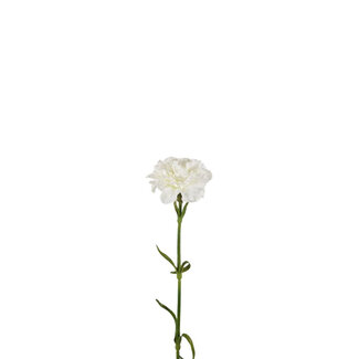 4A Carnation Artificial Flower | Colour: Natural White | Dianthus Artificial Flowers | Length ± 53 centimetres | Per 6 artificial flowers