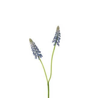 4A Jacinthe Artificielle Bleue | Couleur : Bleu | Fleurs artificielles Muscari | Longueur ± 45 centimètres | Par 12 fleurs artificielles