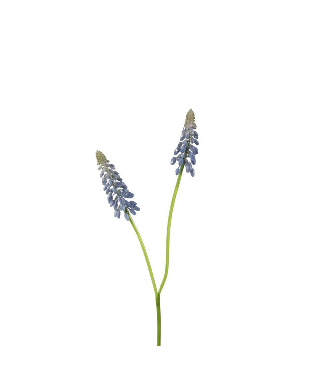 Blue Grape Hyacinth Artificial Flower | Colour: Blue | Muscari artificial flowers | Length ± 45 centimetres | Per 12 artificial flowers