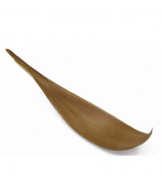 4A Noix de coco séchée | Couleur : Marron | Décoration sèche | Longueur 60 - 80 centimètres | Par pièce