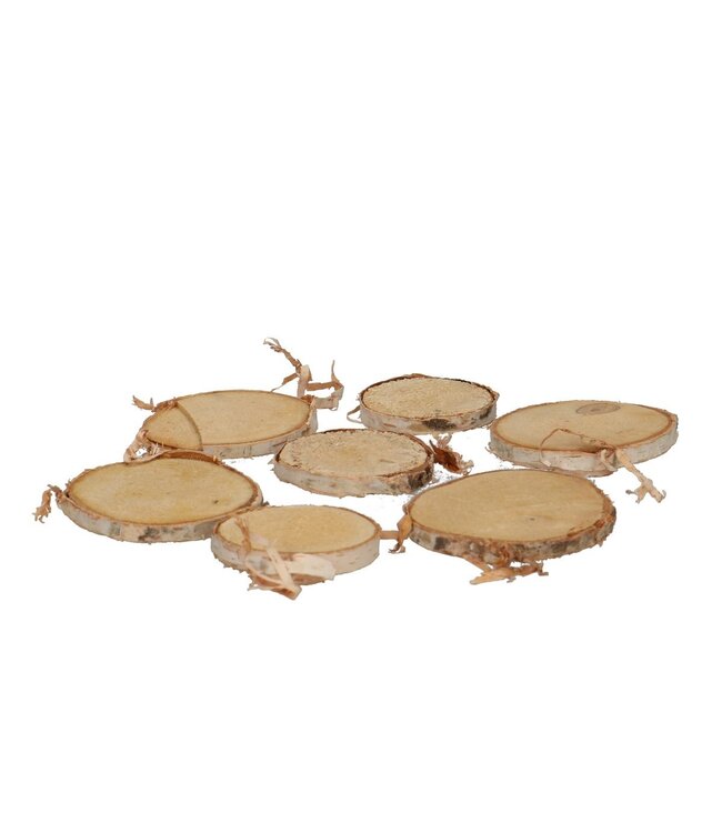 Dried Birch Wood Slices | Colour: Light Brown | Dry Decoration | Diameter 3 - 6 centimetres | Per 250 grams