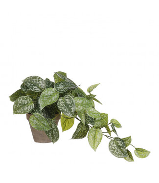 4A Epipremnum Kunstpflanze mit Topf | Farbe: Grün | Durchmesser ± 11 - 17 Zentimeter | Höhe ± 44 Zentimeter | Pro 4 Kunstpflanzen