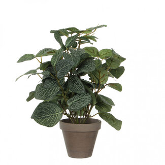 4A Pilea plante artificielle avec pot | Couleur : Vert | Longueur ± 35 centimètres | Diamètre ± 11 - 25 centimètres | Par 6 plantes artificielles