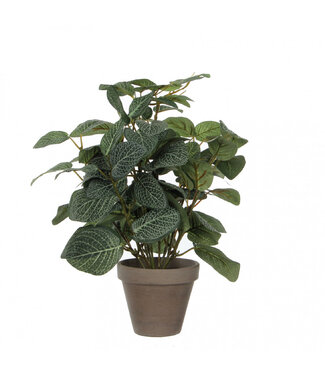 4A Pilea Kunstplant met pot | Kleur: Groen | Lengte ± 35 centimeter | Diameter ± 11 - 25 centimeter | Per 6 kunstplanten