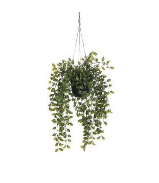 4A Feigenblatt Hängepflanze Kunstpflanze mit Topf | Farbe: Grün | Durchmesser ± 20 Zentimeter | Länge ± 46 Zentimeter | Pro 6 Kunstpflanzen