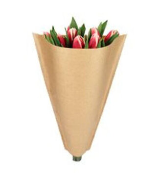 4A Housses Kraft | Couleur : Marron | Longueur 40 centimètres | Largeur 25 centimètres | Hauteur 10 centimètres | Par 50 housses