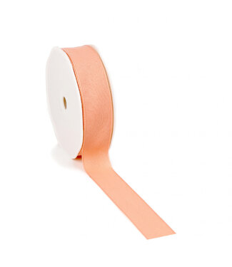 4A Lachsfarbiges Texturband | Breite 25 Millimeter | Länge 20 Meter | Pro Stück
