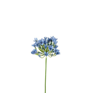 4A Fleur Artificielle Agapanthe du Cap Africain | Couleur : Bleu Clair | Fleurs artificielles Agapanthus | Longueur ± 75 centimètres | Par 6 fleurs artificielles