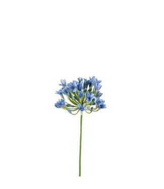 4A African Cape Lily Artificial Flower | Colour: Light Blue | Agapanthus Artificial Flowers | Length ± 75 centimetres | Per 6 artificial flowers