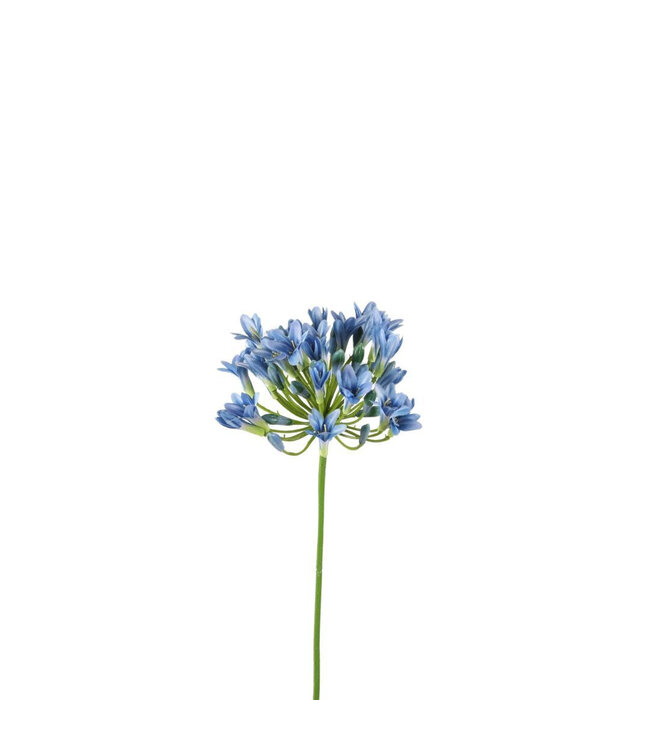 Lys Africain en Soie | Couleur : Bleu clair | Fleurs artificielles Agapanthus | Longueur ± 75 centimètres | Par 6 fleurs artificielles