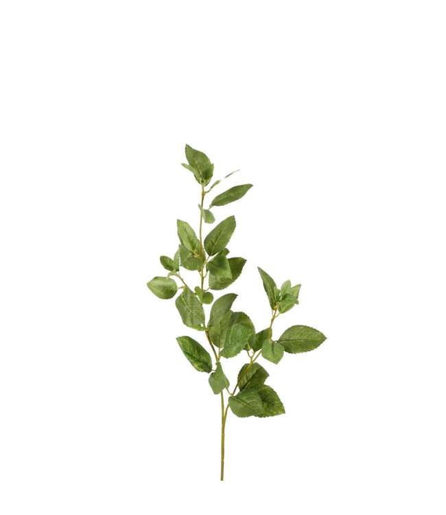 Florist Kunstpflanze | Farbe: Grün | Länge ± 71 Zentimeter | Pro 6 Kunstpflanzen