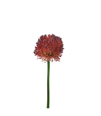 4A Allium Artificial Flower | Colour: Purple | Ornamental Onion Artificial Flowers | Length ± 62 centimetres | Per 6 artificial flowers
