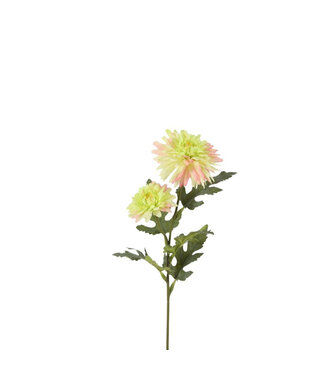 4A Chrysanthemum Artificial Flower | Colour: Green Pink | Length ± 51 centimetres | Per 6 artificial flowers