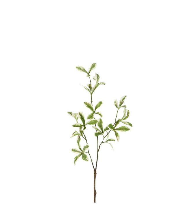 Grünes Blatt Kunstpflanze | Farbe: Grün | Höhe ± 80 Zentimeter | Pro 6 Kunstpflanzen