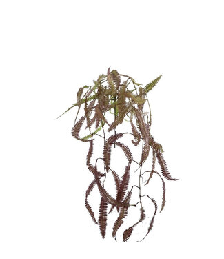 4A Farn Kunstpflanze | Farbe: Grün | Länge ± 89 Zentimeter | Pro Kunstpflanze