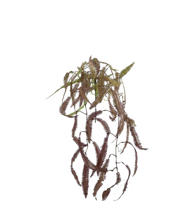 Farn Kunstpflanze | Farbe: Grün | Länge ± 89 Zentimeter | Pro Kunstpflanze