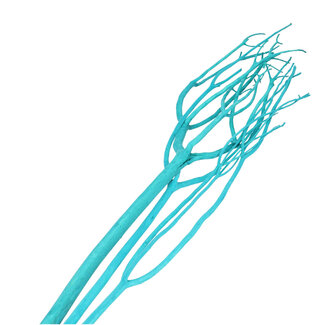 4A Gedroogde Mitsumata vlok Takken | Kleur: Turquoise | Droogdecoratie | Lengte ± 115 centimeter | Per 3 takken