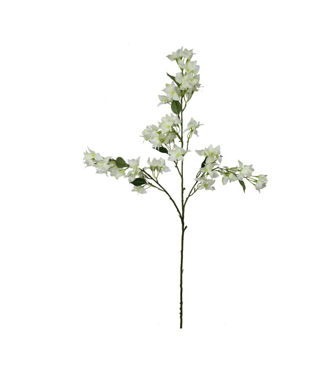 Bougainvillea Artificial Flower | Colour: Light Green | Length ± 104 centimetres | Per stem