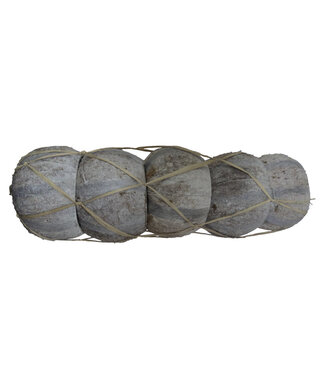 4A Noix de Coco Rayée Séchée | Couleur : Blanc Naturel | Décoration Sèche | Longueur ± 13 centimètres | Par 5 pièces