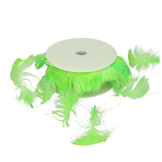 4A Ruban à Plumes Vert Pomme | Longueur 9 mètres | Par pièce