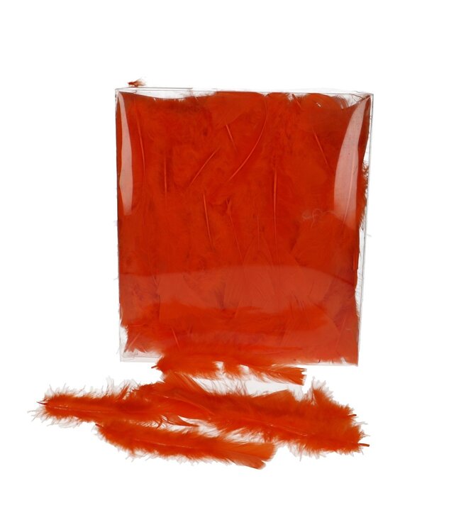 Plumes de dinde | Couleur : Orange | Poids 45 grammes | Par sachet de plumes