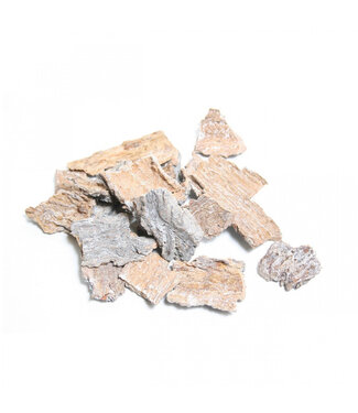 4A Dried Bark Slices | Colour: Natural White | Dried Decoration | Per 200 grams