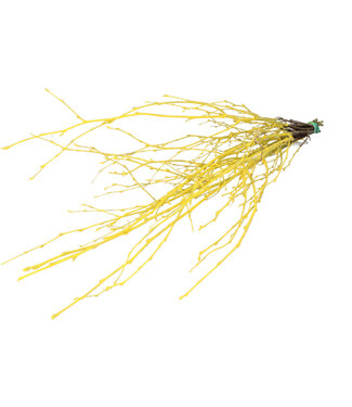 4A Branches de bouleau séchées | Couleur : Jaune | Décoration sèche | Longueur ± 70 centimètres | Par 10 branches