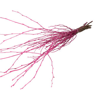 4A Dried Birch Branches | Colour: Cherry-coloured | Dried Decoration | Length ± 70 centimetres | Per 10 branches