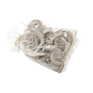 4A Feuille de Palmier Spéciale Séchée | Couleur : Blanc Naturel | Décoration Sèche | Longueur ± 12 centimètres | Par 10 pièces