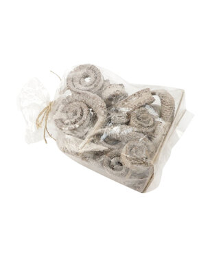 4A Dried Special Palm Leaf | Colour: Natural White | Dried Decoration | Length ± 12 centimetres | Per 10 pieces