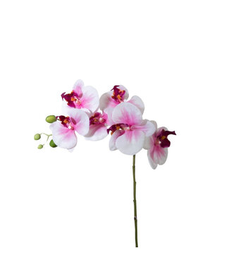 4A Butterfly Orchid Artificial Flower | Colour: Pink | Phalaenopsis Artificial Flowers | Length ± 68 centimetres | Per 6 artificial flowers