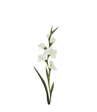 4A Gladiolus Artificial Flower | Colour: Natural White | Length ± 97 centimetres | Per 4 artificial flowers
