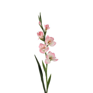 4A Gladiolus Artificial Flower | Colour: Light Pink | Length ± 97 centimetres | Per 4 artificial flowers