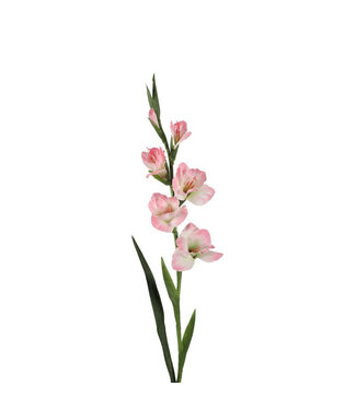 4A Gladiolus Fleur Artificielle | Couleur : Rose clair | Longueur ± 97 centimètres | Par 4 fleurs artificielles