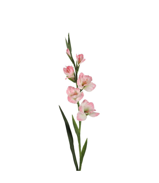 Gladiolus Artificial Flower | Colour: Light Pink | Length ± 97 centimetres | Per 4 artificial flowers