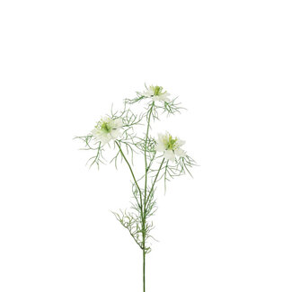 4A Nigella Kunstblume | Farbe: Naturweiß | Jungfer im Grünen Kunstblumen | Länge ± 62 Zentimeter | Pro 6 Kunstblumen