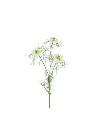 4A Nigella Artificial Flower | Colour: Natural White | Love-in-a-mist artificial flowers | Length ± 62 centimetres | Per 6 artificial flowers