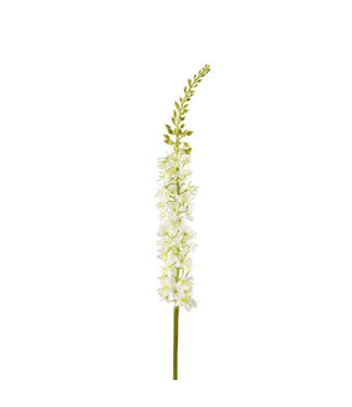 4A Eremurus Artificial Flower | Colour: Natural White | Foxtail Lily artificial flowers | Length ± 94 centimetres | Per 2 artificial flowers
