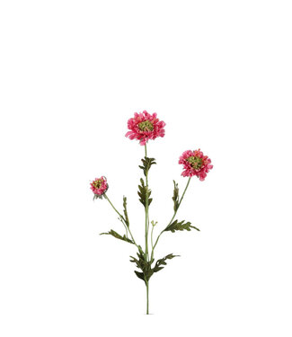 4A Scabiosa Artificial Flower | Colour: Pink | Pigeon Flower Artificial Flowers | Length ± 66 centimetres | Per 6 artificial flowers