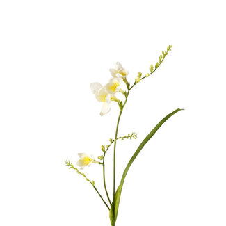 4A Freesia Fleur Artificielle | Couleur : Blanc Naturel | Longueur ± 81 centimètres | Par 6 fleurs artificielles