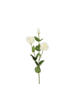 4A Lisianthus Fleur Artificielle Real Touch | Couleur : Blanc Naturel | Longueur ± 73 centimètres | Par 6 fleurs artificielles