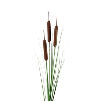 4A Cattail Artificial Plant | Colour: Brown | Length ± 119 centimetres | Per 6 artificial plants