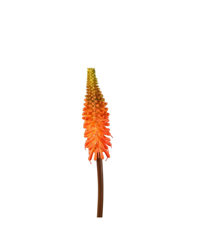 Kniphofia Kunstblume | Farbe: Orange | Fackellilien Kunstblumen | Länge ± 69 Zentimeter | Pro 6 Kunstblumen