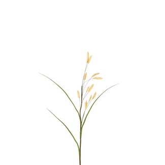 4A Getrockneter Hasenschwanz Kunstpflanze | Farbe: Beige | Länge ± 114 Zentimeter | Pro 4 Kunstpflanzen